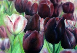 Tulipány - olej na plátně - 50 x 50 cm